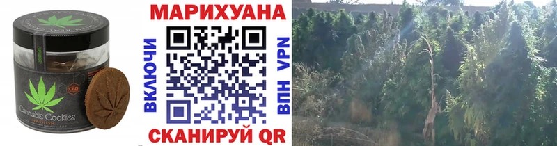 Печенье с ТГК конопля  Ува 