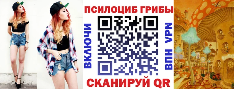 купить закладку  Ува  hydra   Псилоцибиновые грибы прущие грибы 